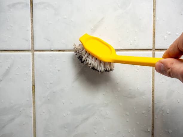 Best Mold Cleaning Services  in Boron, CA