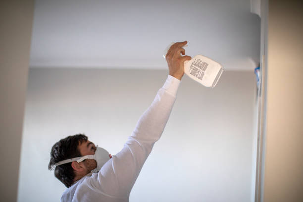 Best Mold Testing  in Boron, CA