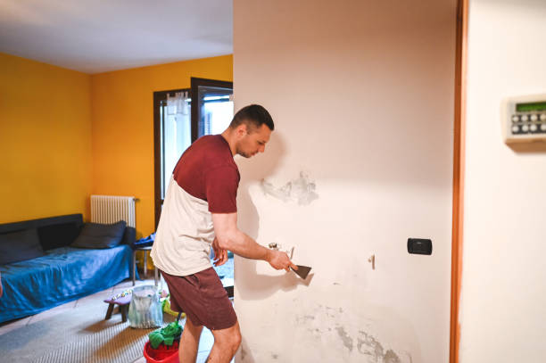 Best Mold Inspection  in Boron, CA